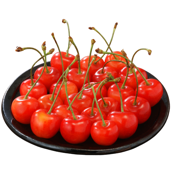 [産直便]山形のさくらんぼ【ご注文締切:2026年5月24日】