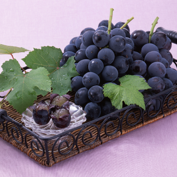 [産直便]ハウス巨峰【ご注文締切:2026年5月31日】