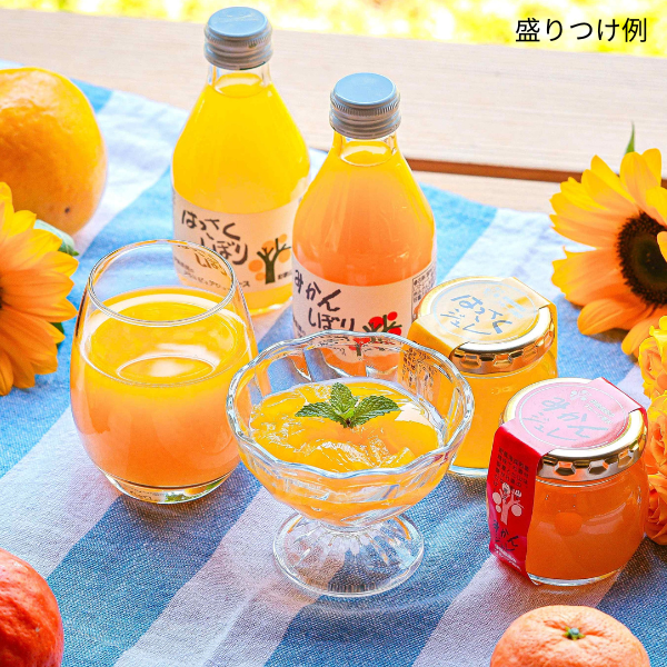 伊藤農園 ジュースとジュレのセット