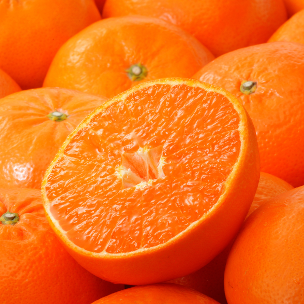 [産直便]はまさき【ご注文締切:2026年1月29日】